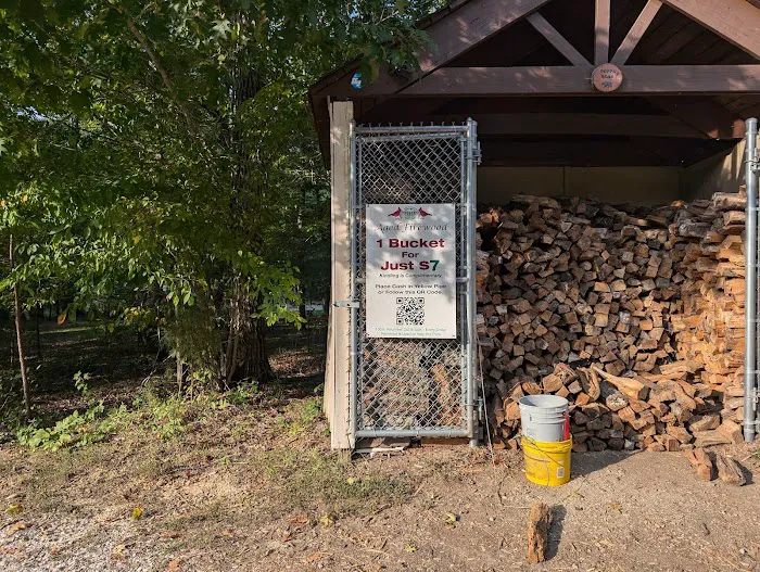 Campground Picture 7