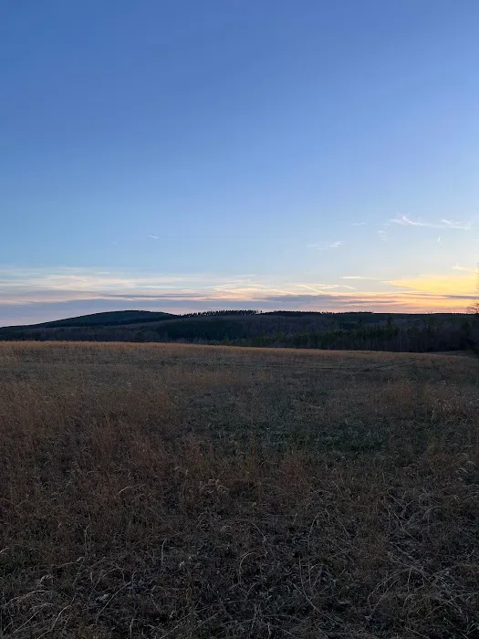 Camp McFender Picture 1