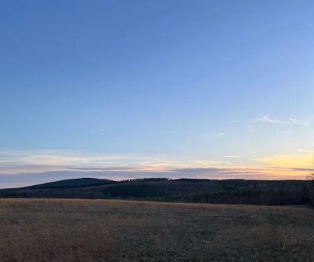 Camp McFender
