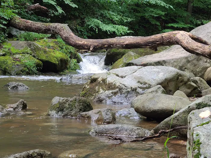 Crabtree Falls Campgrounds Picture 8