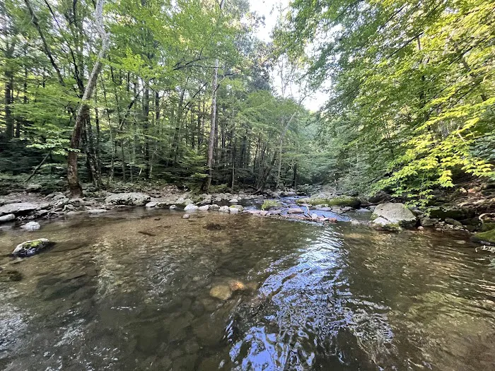 Crabtree Falls Campgrounds Picture 9