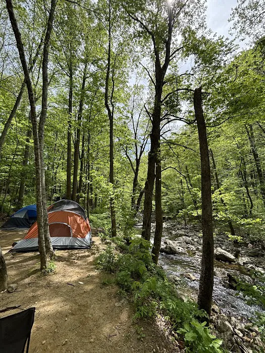 Crabtree Falls Campgrounds Picture 6