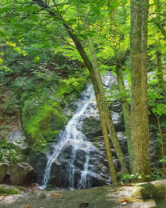 Crabtree Falls Campgrounds Picture 7