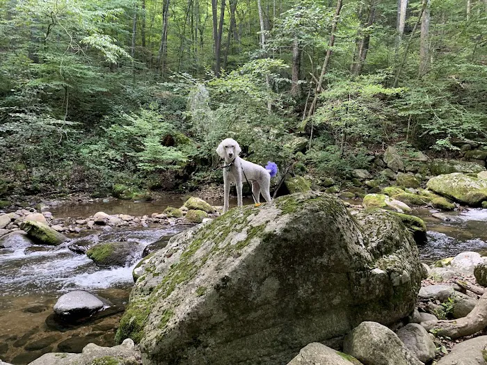 Crabtree Falls Campgrounds Picture 5