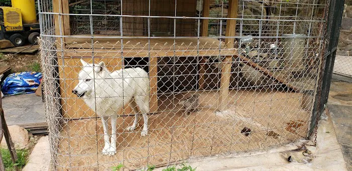 Rainbow Mountain Inc Picture 3