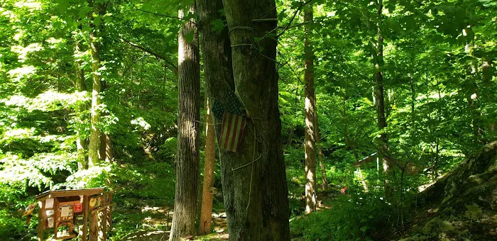 Rainbow Mountain Inc Picture 5