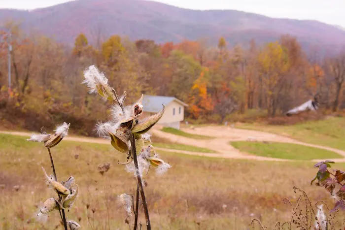 4 Mile Rock Meadows RV Camping Picture 7