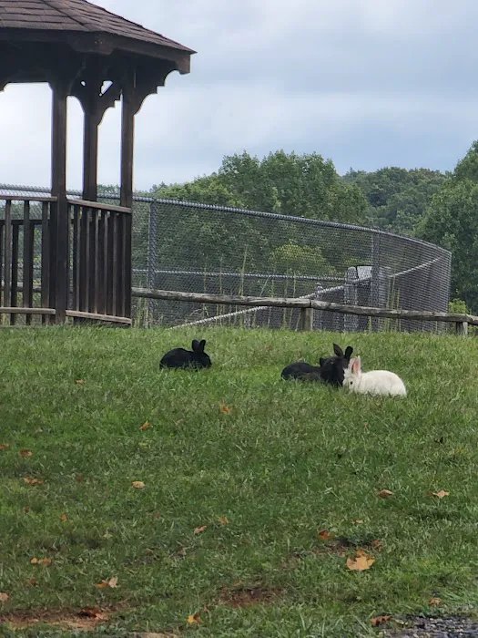 Shenandoah Valley Campground Picture 2