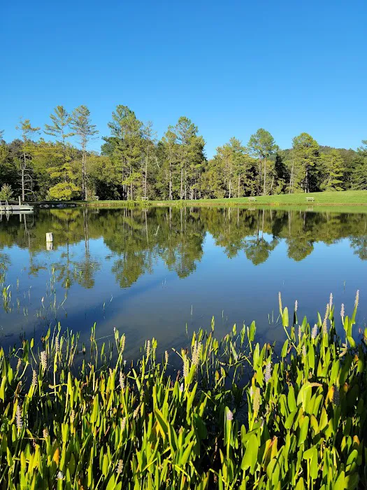 Shenandoah Valley Campground Picture 8