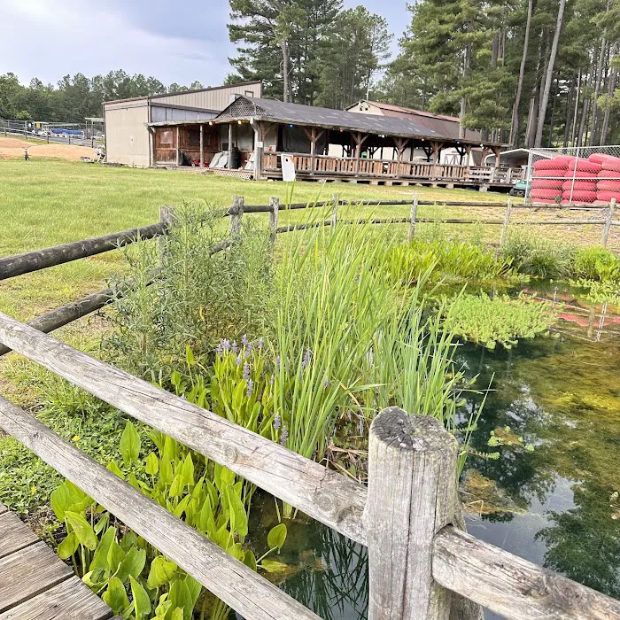 Shenandoah Valley Campground Picture 4