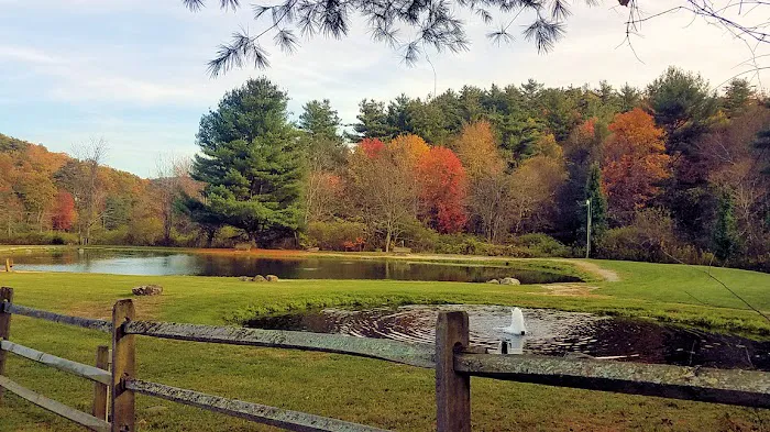 Montebello Camping & Fishing Resort Picture 5