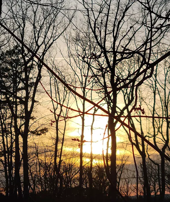 Stoney Creek Resort and Campground Picture 9