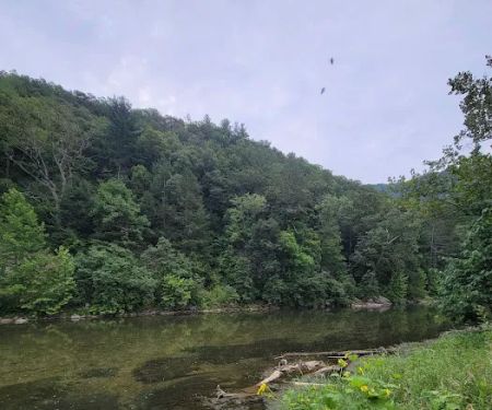 Jess Judy Group Campground