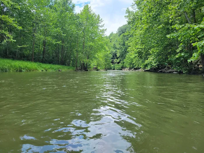 Jess Judy Group Campground Picture 8