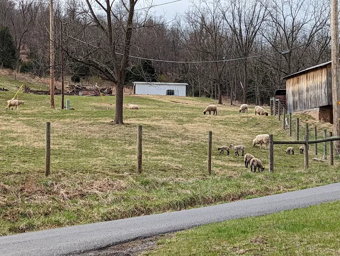Eagle Rocks Campground Picture 5