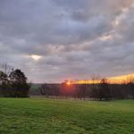 Bennies Beach Campground