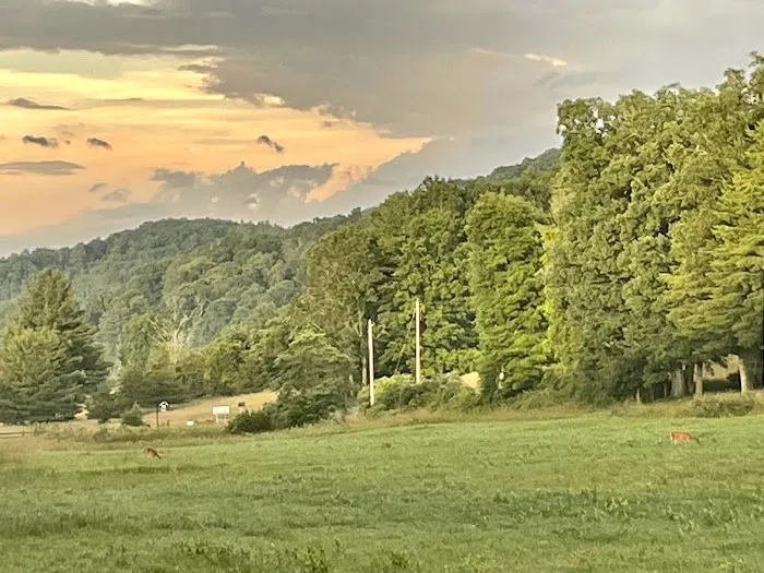Brushy Mountain Cabin Picture 2
