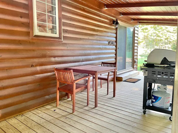 Brushy Mountain Cabin Picture 7