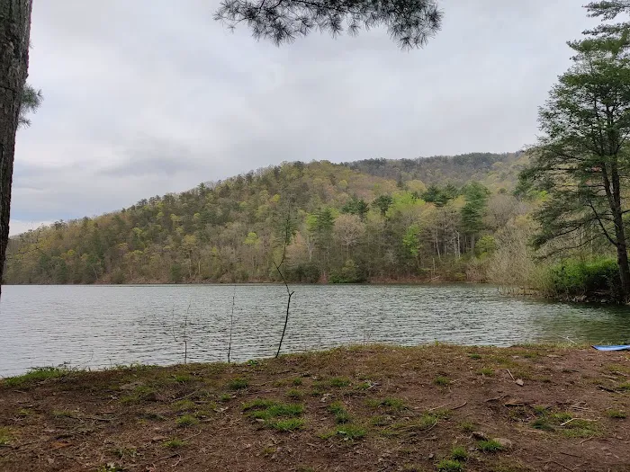 Switzer lake Campsite Picture 1