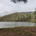 Switzer lake Campsite