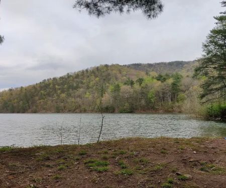Switzer lake Campsite