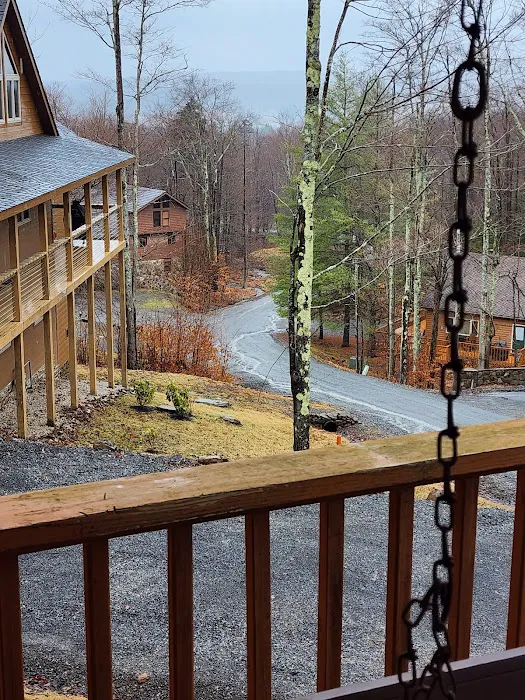 Robyn's Nest Picture 8