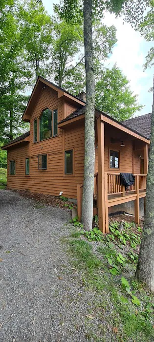 Robyn's Nest Picture 2