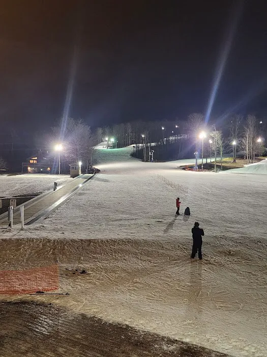 Robyn's Nest Picture 6