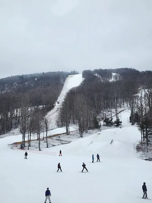 Robyn's Nest Picture 5