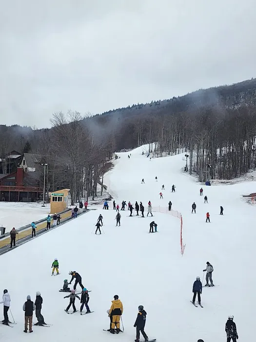 Robyn's Nest Picture 4