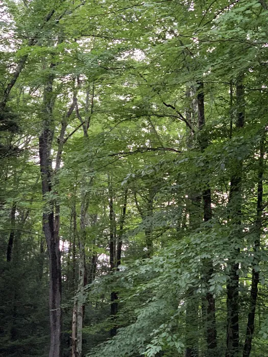 Canaan Valley Resort Campground Picture 9