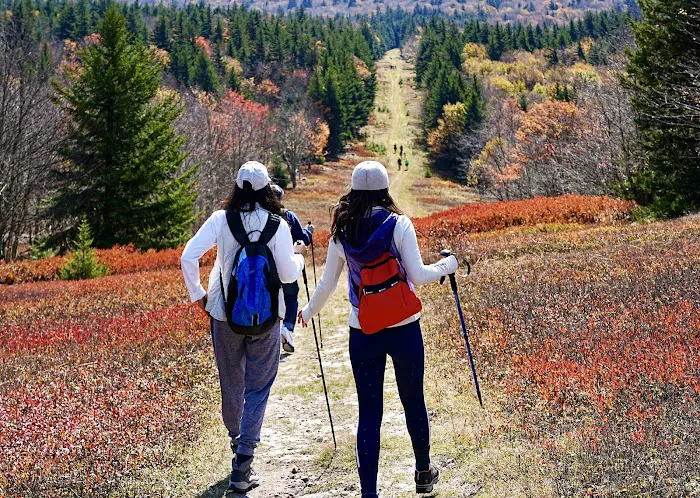 Canaan Valley Resort Campground Picture 5