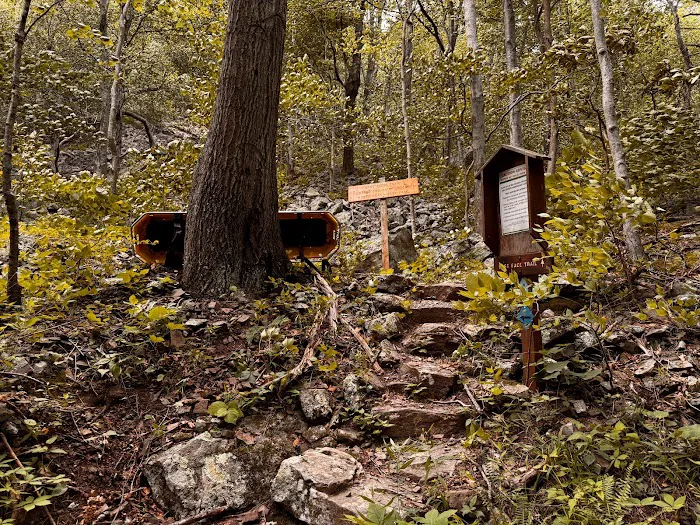 Fourth Moon Camp Picture 8