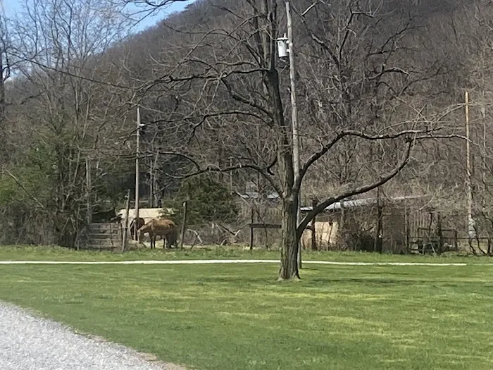 Princess Snowbird's Indian Village Picture 9