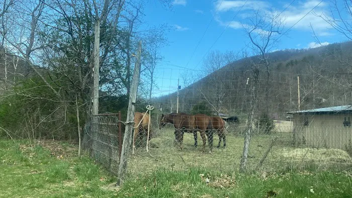 Princess Snowbird's Indian Village Picture 10