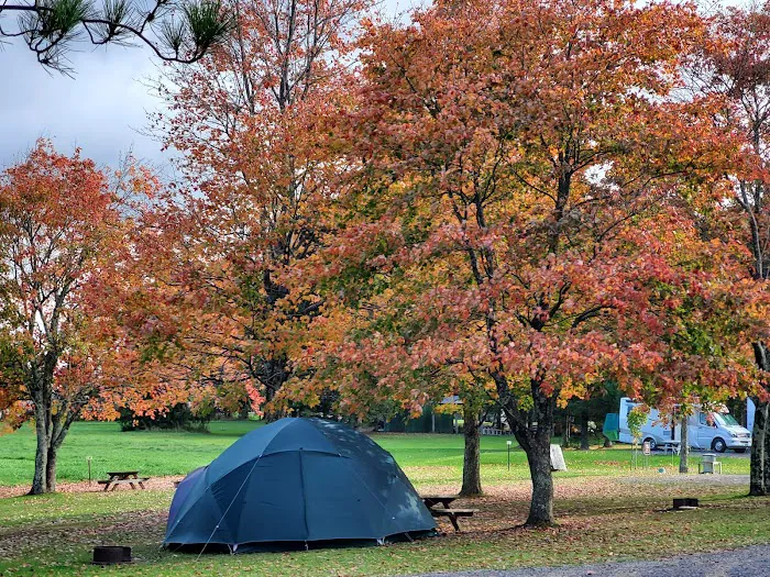 Restrite Campground Picture 2