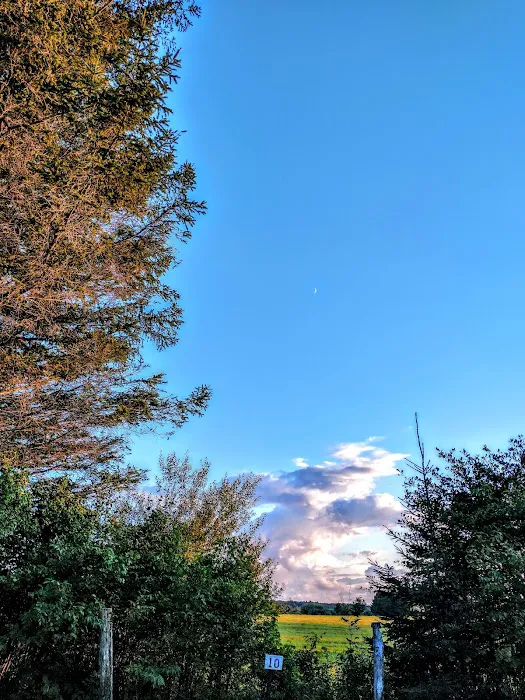 Restrite Campground Picture 5