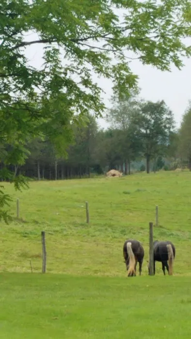 Restrite Campground Picture 6