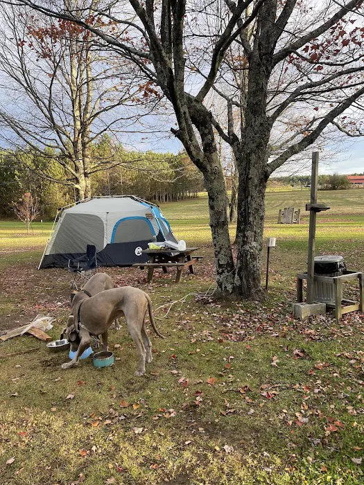 Restrite Campground Picture 10
