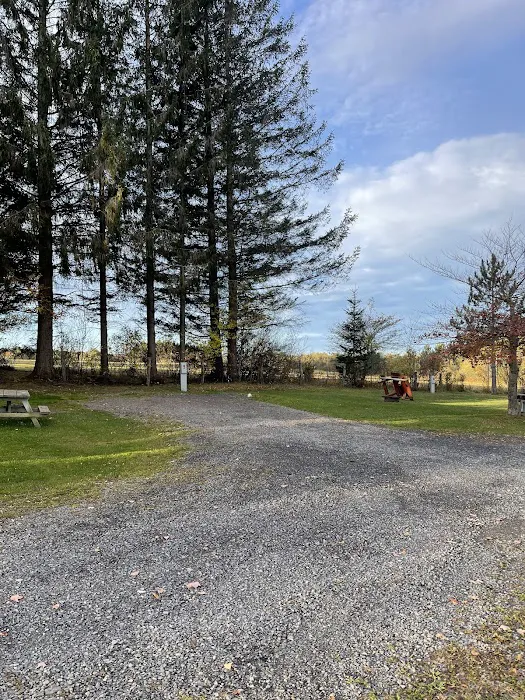 Restrite Campground Picture 9