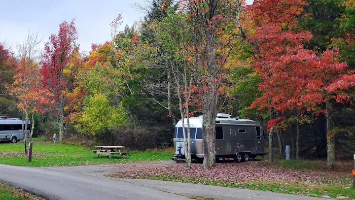 Blackwater Falls Campground Picture 6