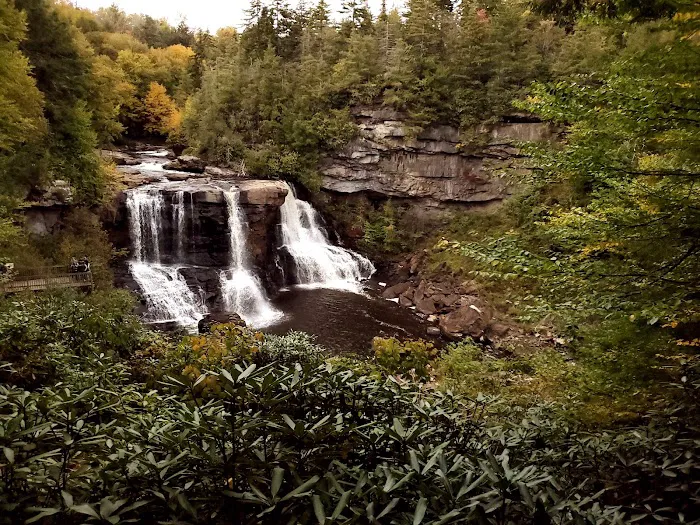 Blackwater Falls Campground Picture 10