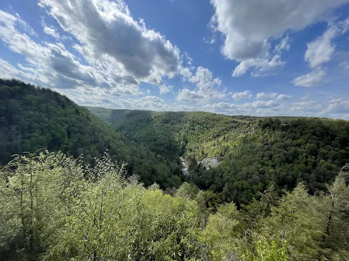 Blackwater Falls Campground Picture 1