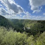 Blackwater Falls Campground