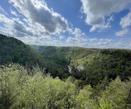 Blackwater Falls Campground