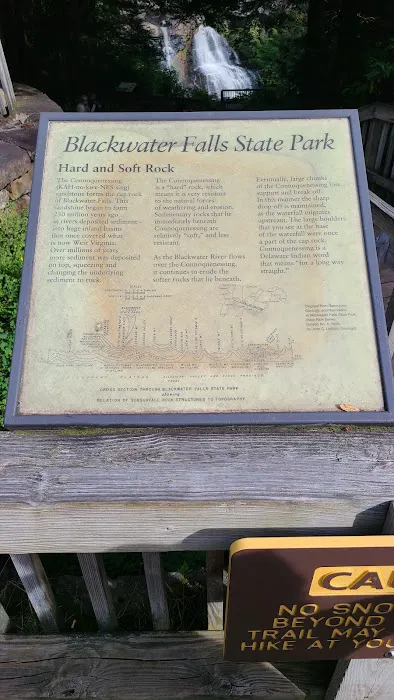 Blackwater Falls Campground Picture 8