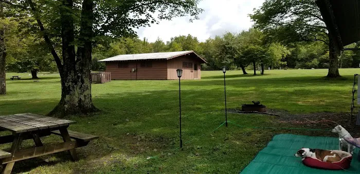 Blackwater Falls Campground Picture 4