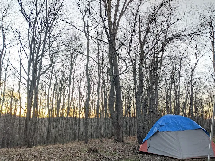 Blackwater Falls Campground Picture 9