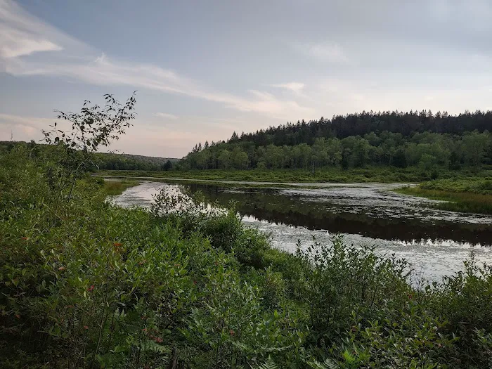 Blackwater Falls Campground Picture 7