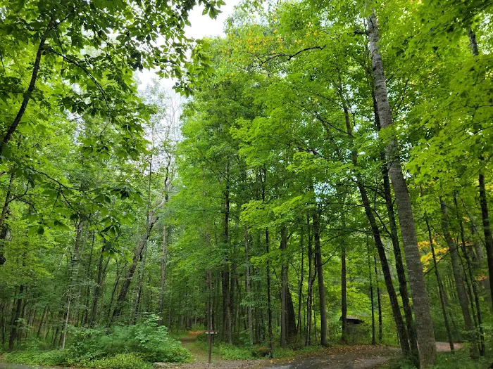 Brandywine Lake Campground Picture 10
